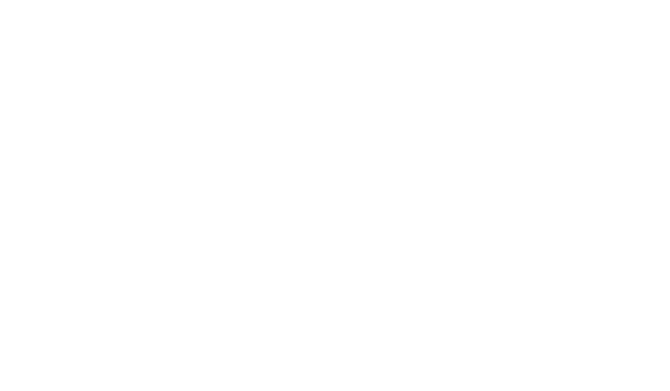 Centro pelvi Ticino Logo